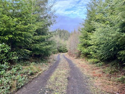 Farm Property for sale in Grays Harbor County, Washington