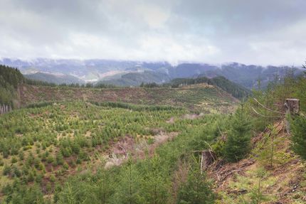 Undeveloped Land for sale in Lincoln County, Oregon