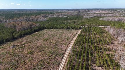 Farm Property for sale in Telfair County, Georgia