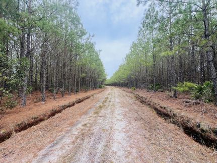 Ranch Property for sale in Wayne County, Georgia