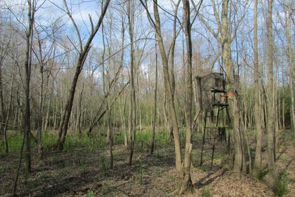 Farm Property for sale in Lee County, South Carolina