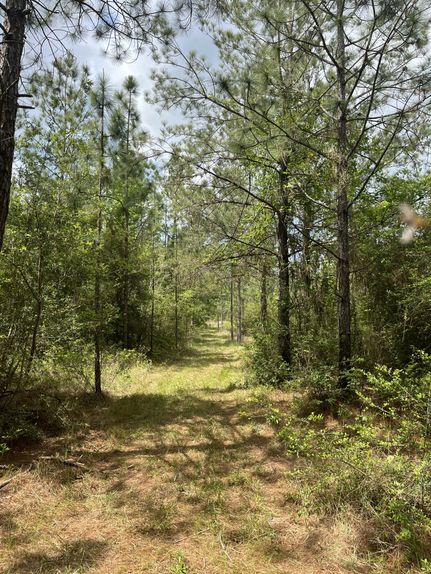 Farm Property for sale in Rapides Parish, Louisiana