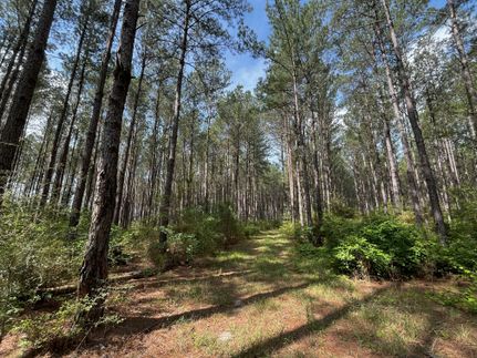 Timberland Property for sale in Holmes County, Florida
