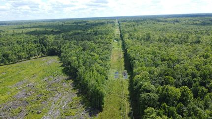 Farm Property for sale in Colleton County, South Carolina