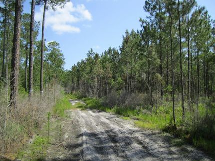 Ranch Property for sale in Union County, Florida
