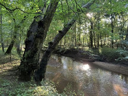 Farm Property for sale in Abbeville County, South Carolina