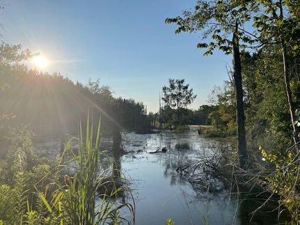 Recreational Property for sale in Panola County, Texas