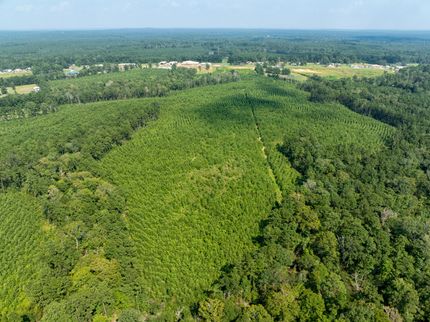 Recreational Property for sale in Sabine County, Texas