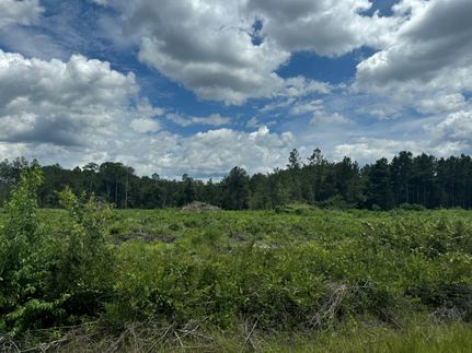 Farm Property for sale in Union County, Florida