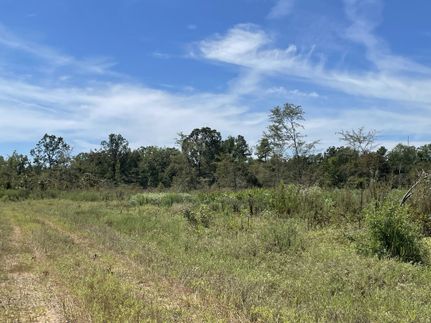 Recreational Property for sale in Red River County, Texas