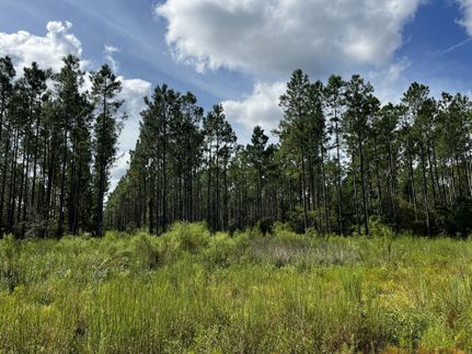 Ranch Property for sale in Leon County, Florida