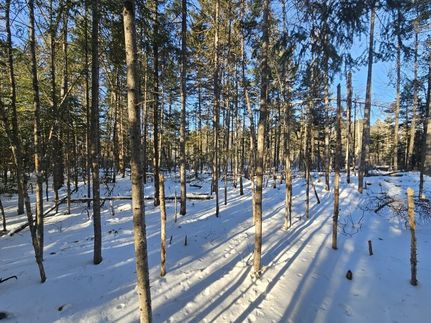 Ranch Property for sale in Piscataquis County, Maine