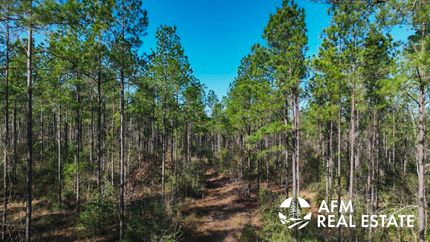 Farm Property for sale in Houston County, Texas