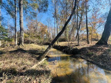 Ranch Property for sale in Schley County, Georgia