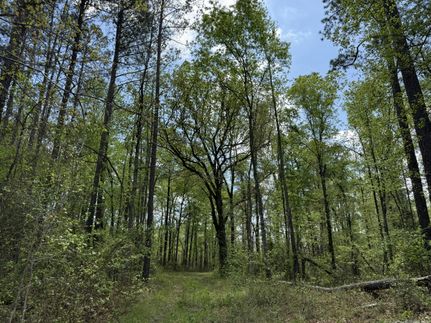 Ranch Property for sale in Sumter County, South Carolina