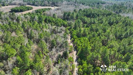 Timberland Property for sale in San Augustine County, Texas