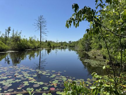 Ranch Property for sale in Sumter County, South Carolina
