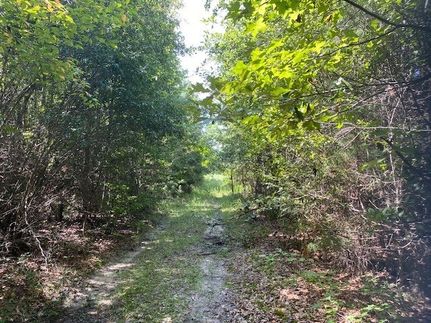 Farm Property for sale in Rusk County, Texas