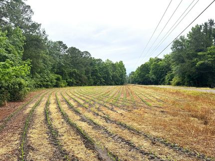 Farm Property for sale in Dorchester County, South Carolina