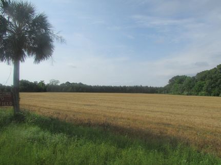 Farm Property for sale in Orangeburg County, South Carolina