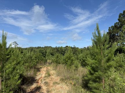 Farm Property for sale in Gadsden County, Florida