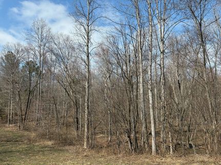 Farm Property for sale in Powhatan County, Virginia
