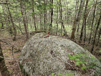 Farm Property for sale in Washington County, Maine