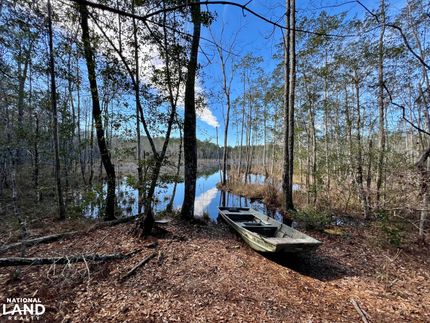 Farm Property for sale in Washington County, Alabama
