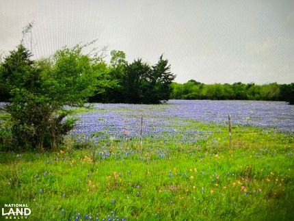 Farm Property for sale in Grimes County, Texas