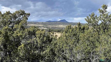 Undeveloped Land for sale in Catron County, New Mexico