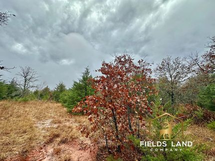 Undeveloped Land for sale in Oklahoma County, Oklahoma