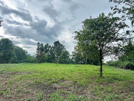Farm Property for sale in Wayne County, West Virginia