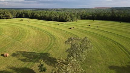 Ranch Property for sale in Conecuh County, Alabama