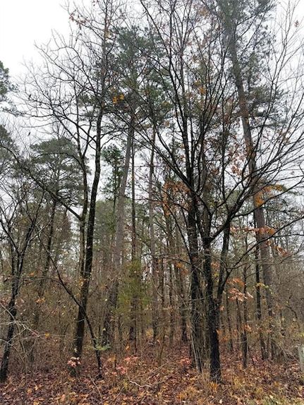 Farm Property for sale in McCurtain County, Oklahoma