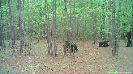 Farm Property for sale in Pushmataha County, Oklahoma