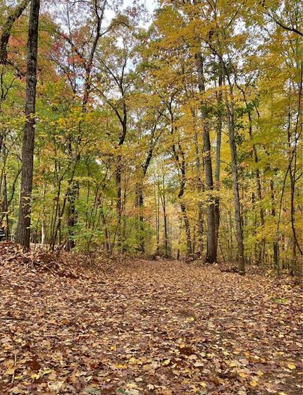 Ranch Property for sale in McMinn County, Tennessee
