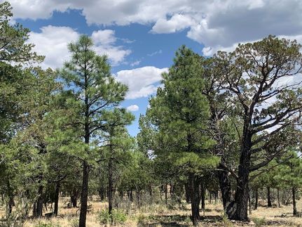 Ranch Property for sale in Coconino County, Arizona