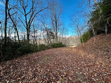 Farm Property for sale in Macon County, North Carolina