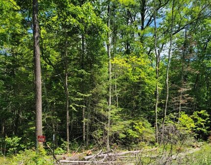 Farm Property for sale in Sawyer County, Wisconsin