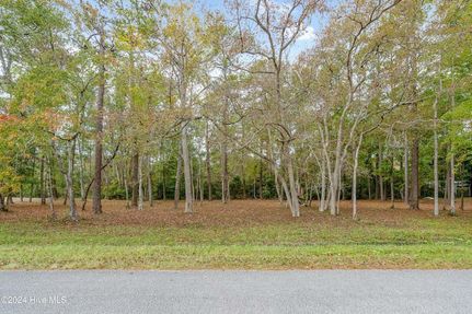 Ranch Property for sale in Brunswick County, North Carolina