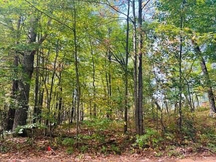 Farm Property for sale in Newaygo County, Michigan