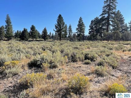 Timberland Property for sale in Lassen County, California