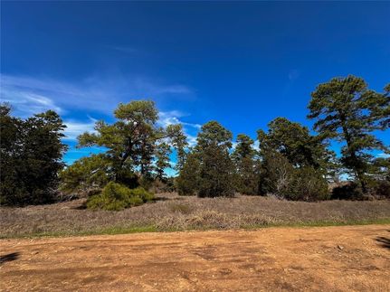 Farm Property for sale in Bastrop County, Texas