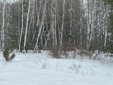 Timberland Property for sale in Bayfield County, Wisconsin