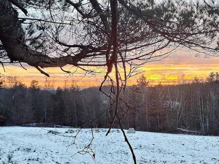 Farm Property for sale in Windsor County, Vermont