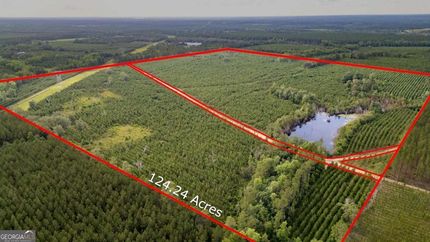 Timberland Property for sale in Appling County, Georgia