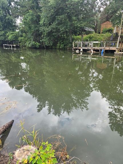 Recreational Property for sale in Clarendon County, South Carolina