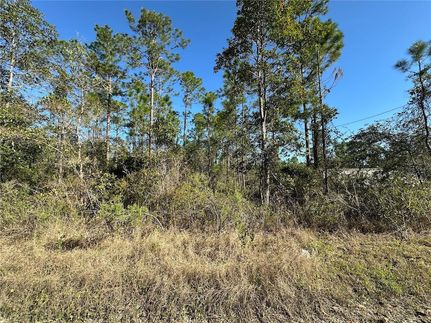 Recreational Property for sale in Putnam County, Florida