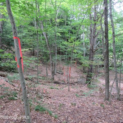Timberland Property for sale in Saratoga County, New York