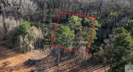 Undeveloped Land for sale in Bowie County, Texas